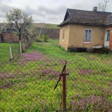 Будинок в центрі смт.Коропець