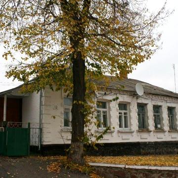 Продається будинок в САМОМУ ЦЕНТРІ м. Тараща