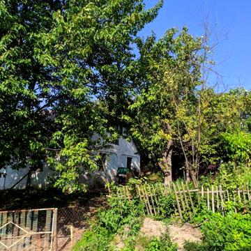 Продаж не житлового будинку із земельною ділянкою 0.5 га.