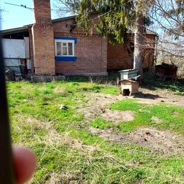 Продається хата в с. Радівка, Вінницької обл.