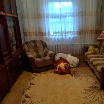 Продаж будинку в с. Ялтушків