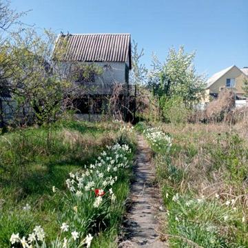 Продам дачу с/т " Стіновик" Байкальська, Дніпро