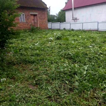Продам будинок і ділянку с. Бережниця