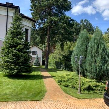 Сдам дом Велика Салтановка