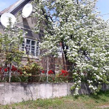 Продам дачный участок с домиком