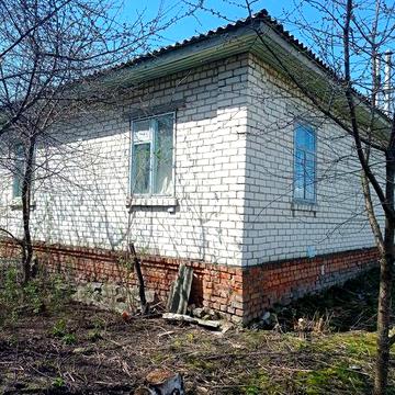 Садиба біля річки Десна. Село Ковчин.