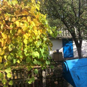 Здаю в оренду будинок в Соснівці Житомирськоі обл