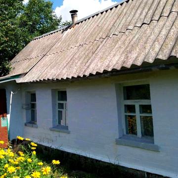 Будинок в с. Ірдинь