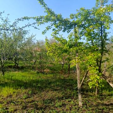 Дача Приднепровск Энергетик 5.1 сотка. Без риелторов