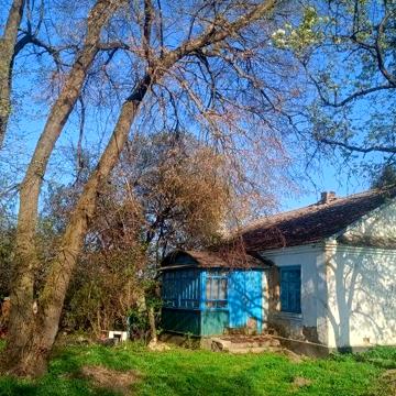 Будинок 76м² + земельна ділянка 1,25 га