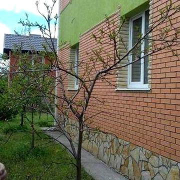 Будинок с.Березина