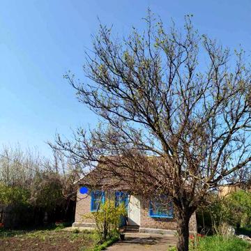 Продам невеликий будинок (5й км)