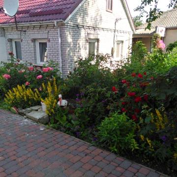 Продаж будинку смт. Рокитне
