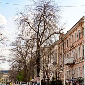 Квартира в історичному центрі міста, Гаванна
