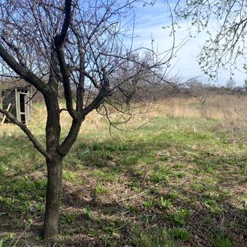 Продам дом в Тарановке