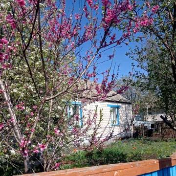 Будинок село ГАВРОНЩИНА Бучанський (Макарівський) р-н 40 км від Києва