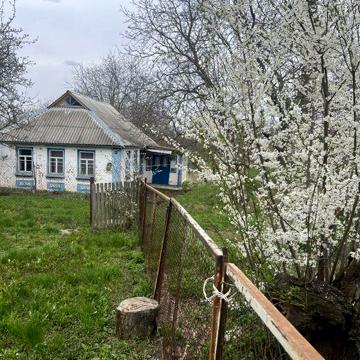 Продається будинок в с.Вʼзівок Черк.обл., вул. Ярова, м.Городище 15 км