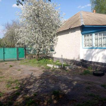 Продам будинок с.Нова Басань