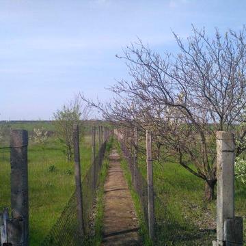 Дом меньше 1 км от города с участком 23 сотки