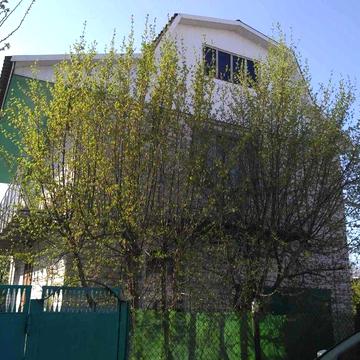 Будинок в селі Благодатне