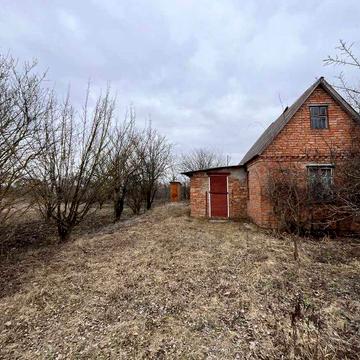 ID: 37514 БУДИНОЧОК Раково