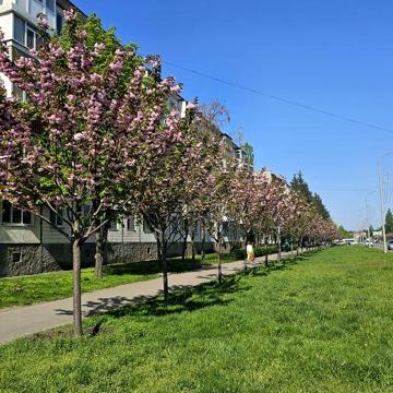 Продаж 3-кімнатної квартири