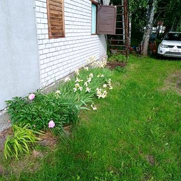 Сдам дачу Тимченки(Миргороды, район Мерефа, Змиёв) Харьк. обл.