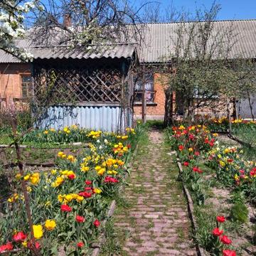 Обміняю або продам будинок, район 6 школа (біля танку)