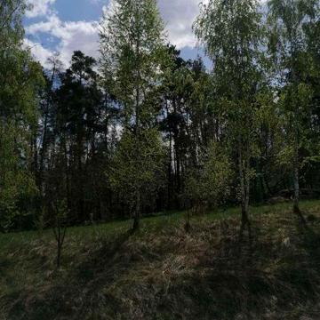 Пропозиція для поціновувачів мешкати поруч з лісом
