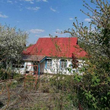Пропозиція для поціновувачів мешкати поруч з лісом