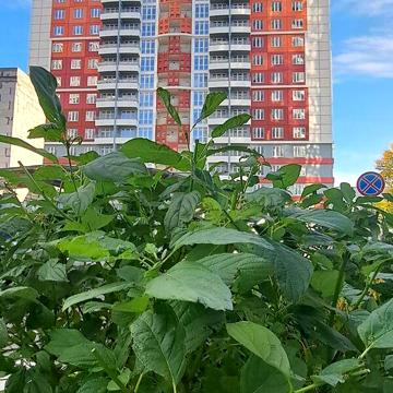 Продаж 1к Квартира Гагаріна проспект ЖК Четыре сезона