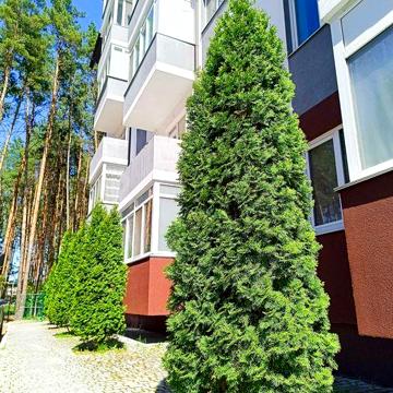 Квартира з ремонтом поряд з м.Бориспільська ЖК Идея