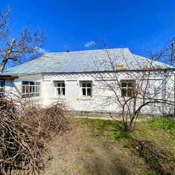 Центральна