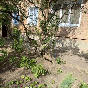 Квартира 3х кімнатна, перший поверх, з ремонтом