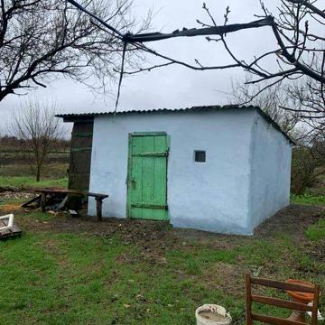 Продам дім в Петриківці з ділянкою 37 соток я власниця