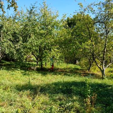 Будинок. Хата. Господарство. Будинок в Луцькому районі. Дача.