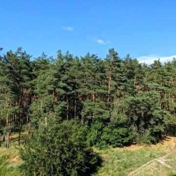 Вільна 3 кімнатна квартира біля лісу з кондиціонером оренда Власівка