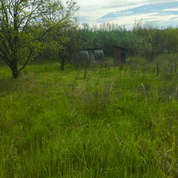 Продам дачу. Есть маленький сарай. Туалет на улице.
