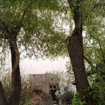 Продам дачу біля води