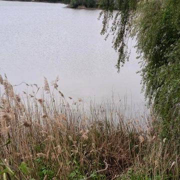 Продам дачу біля води