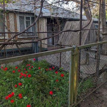 Продам будинок в м.Шаргороді.