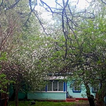 Продається приватний будинок в с.Недра