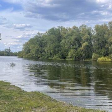 Продам дачу в Жавінці