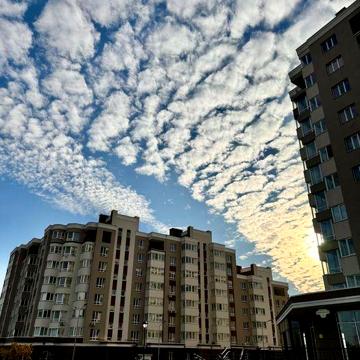Перша оренда: однокімнатні квартири з топовим виглядом, ЖК Озерний гай