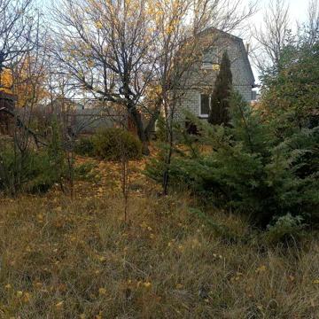 Продам дачу в Рай Ееленовке - Хозяин.