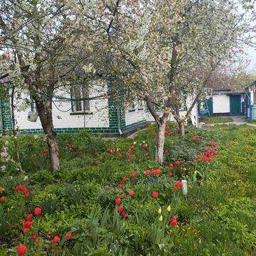 Продам будинок з городом в селі Шпендівка  Обухівський р-н.