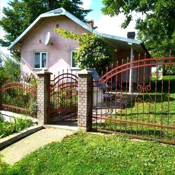 Продається будинок с.Бісковичі