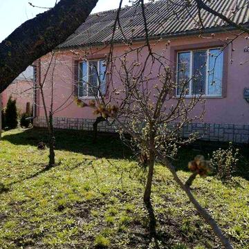 Продається будинок з гаражем і садком (Район цукрововго заводу)