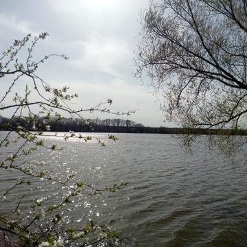 Центральна вул. (Мічуріна)