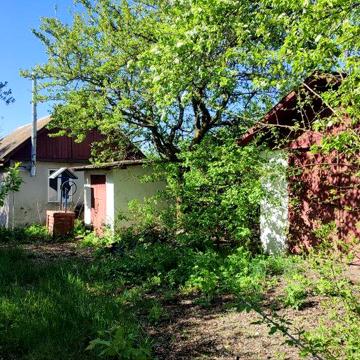 Будинок з ділянкою в селі Пасічна